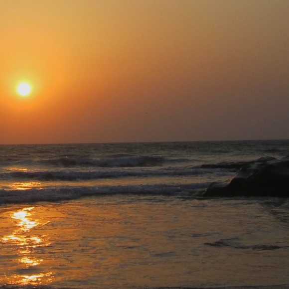 Meet your Posher, June - Picture 1 of 1